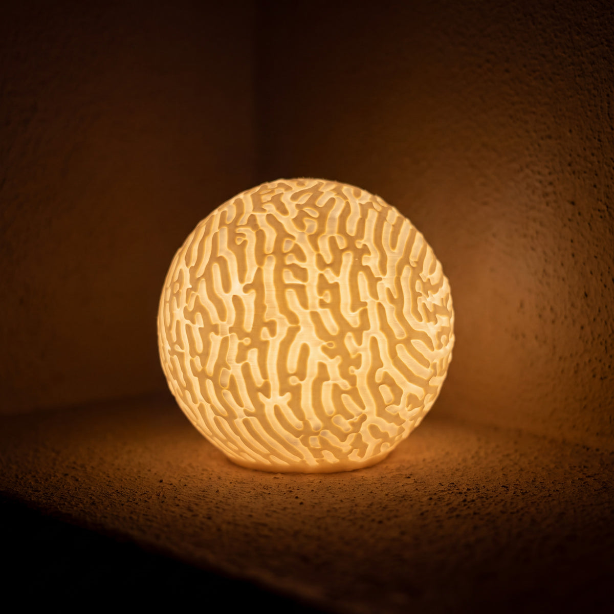 Meandrina : la mini-lampe corail qui a donné son nom à la marque