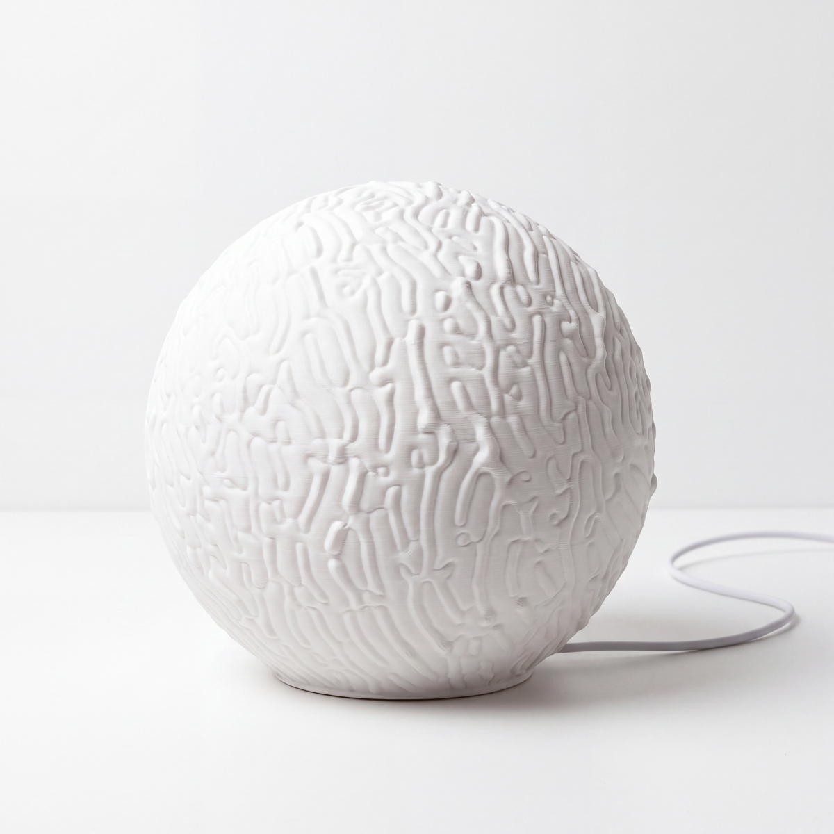 Meandrina : la mini-lampe corail qui a donné son nom à la marque