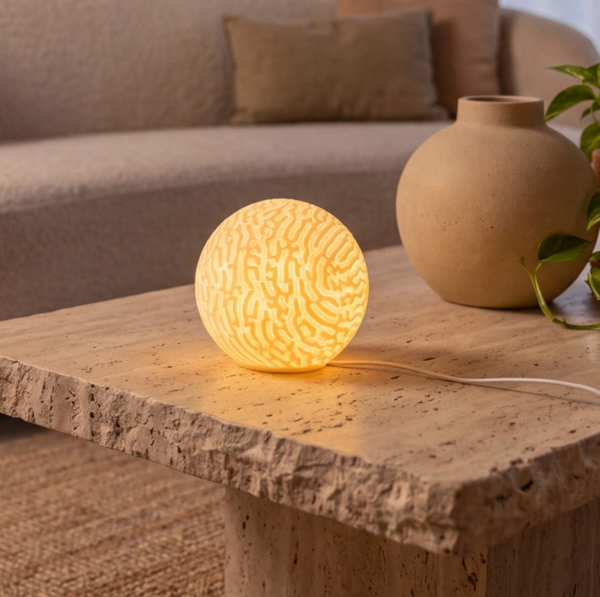 Meandrina : la mini-lampe corail qui a donné son nom à la marque